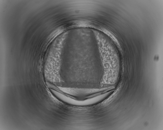 X0000097970801200804211010