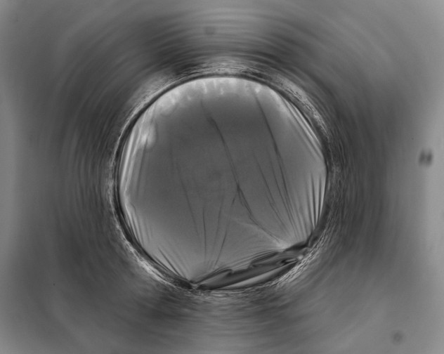 X0000097970802200804211010