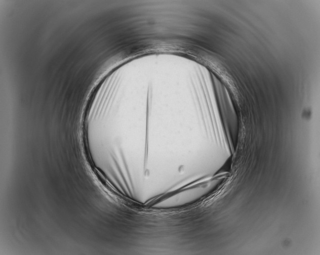 X0000097970803200804211010