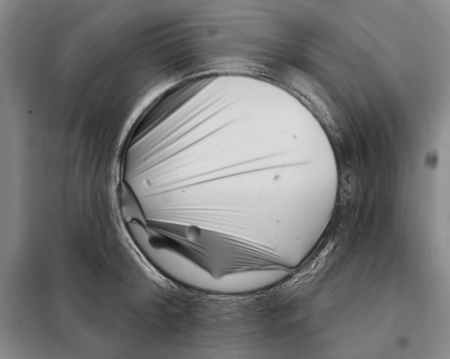 X0000097970804200804211010
