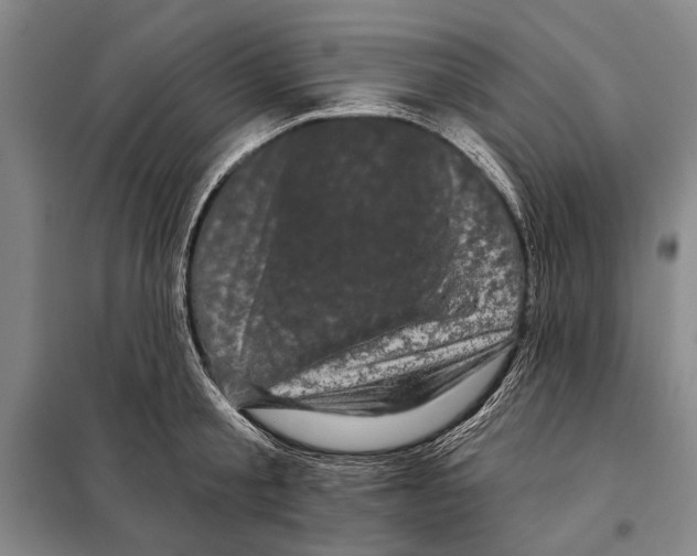 X0000097970805200804211010