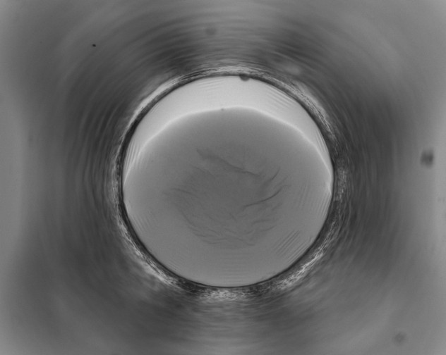 X0000097970806200804211010