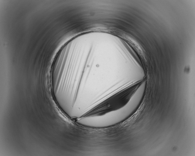 X0000097970808200804211010