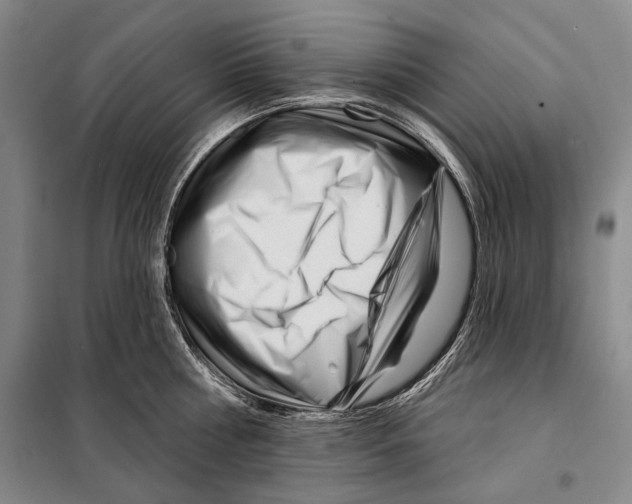 X0000097970810200804211010
