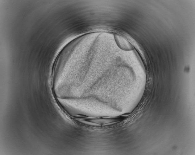 X0000097970811200804211010