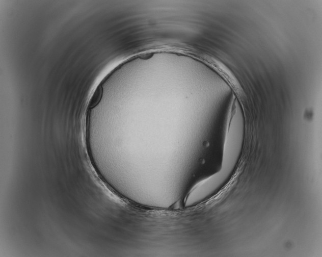 X0000097970812200804211010
