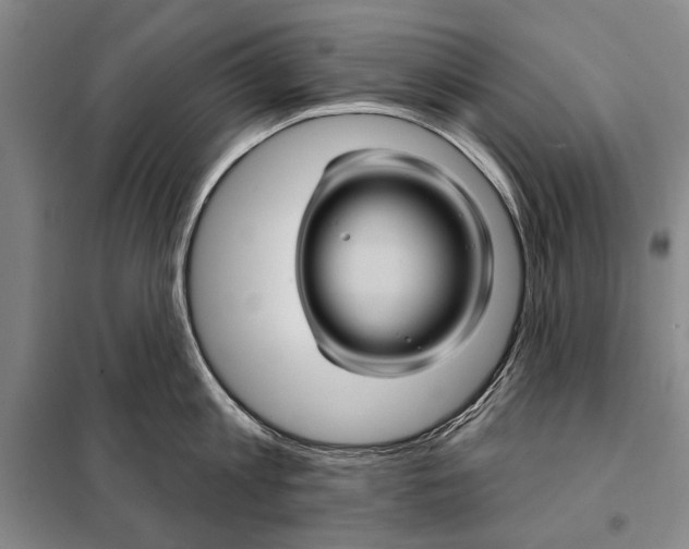 X0000097970813200804211010