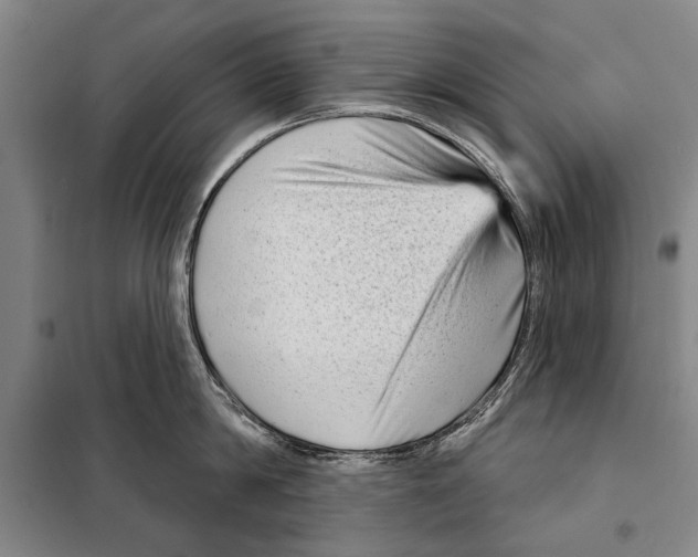 X0000097970814200804211010