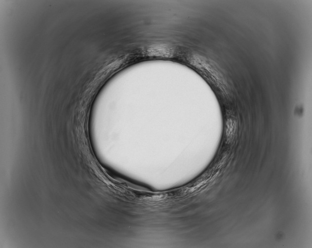 X0000097970817200804211009