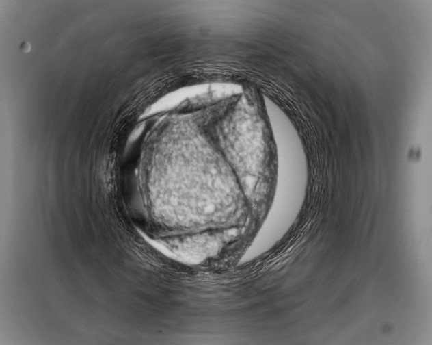 X0000097970818200804211009