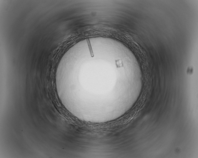 X0000097970820200804211009