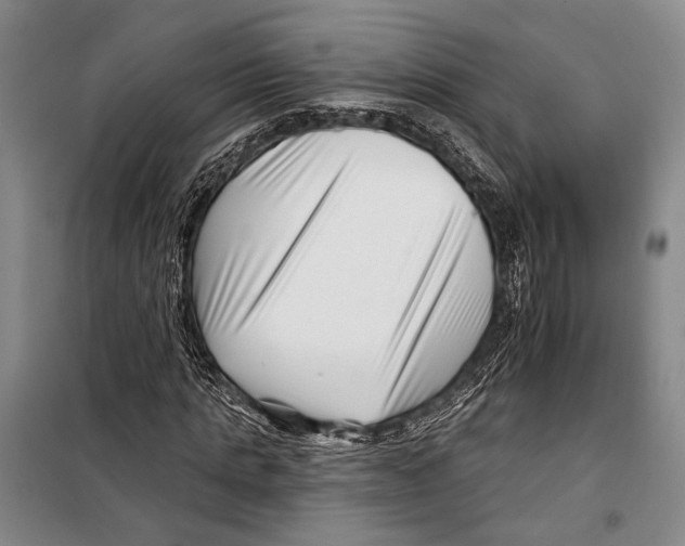 X0000097970821200804211009