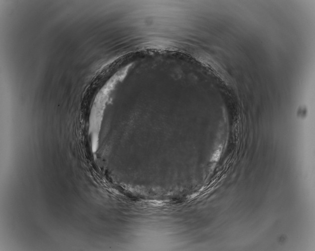 X0000097970822200804211009