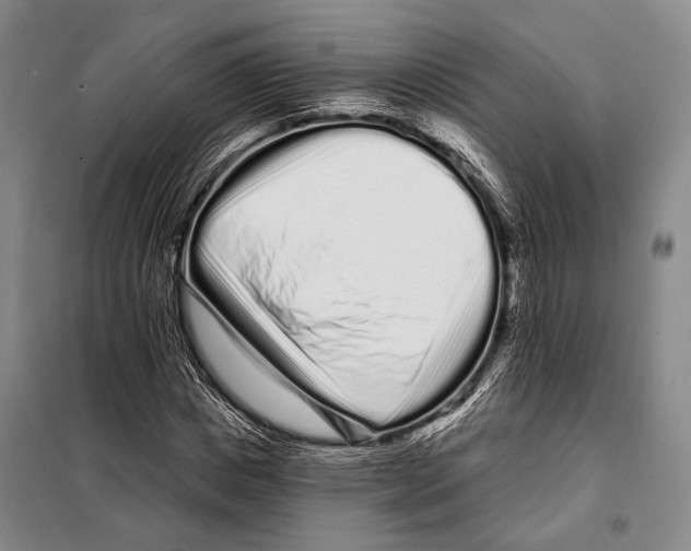 X0000097970825200804211009