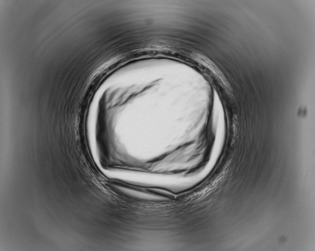 X0000097970826200804211009