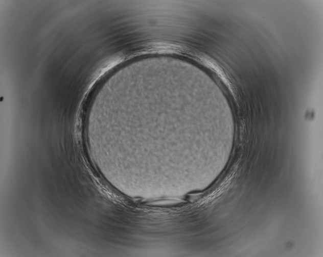 X0000097970827200804211009