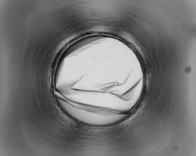 X0000097970829200804211009