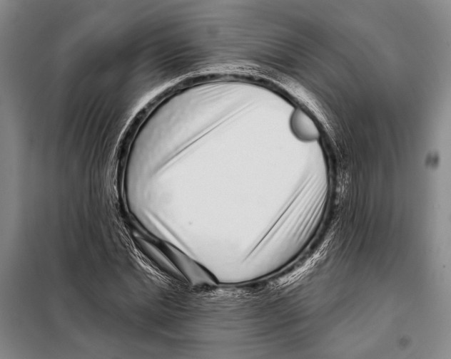 X0000097970830200804211009
