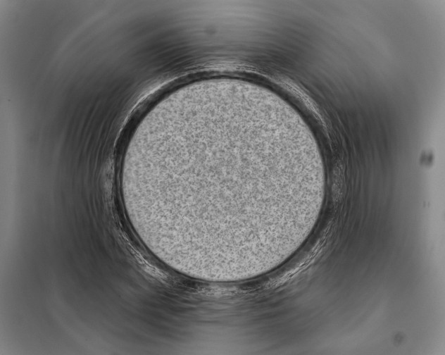 X0000097970831200804211009