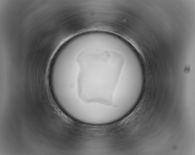 X0000097970832200804211009