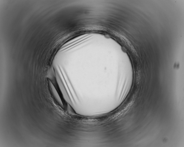 X0000097970833200804211009
