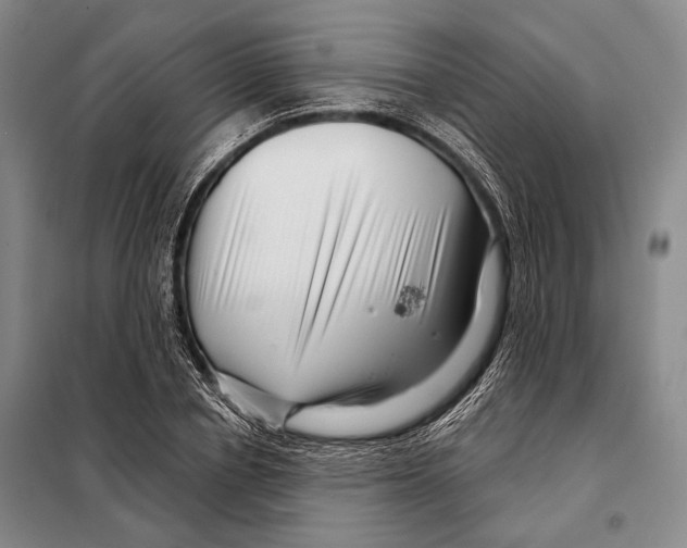 X0000097970834200804211009