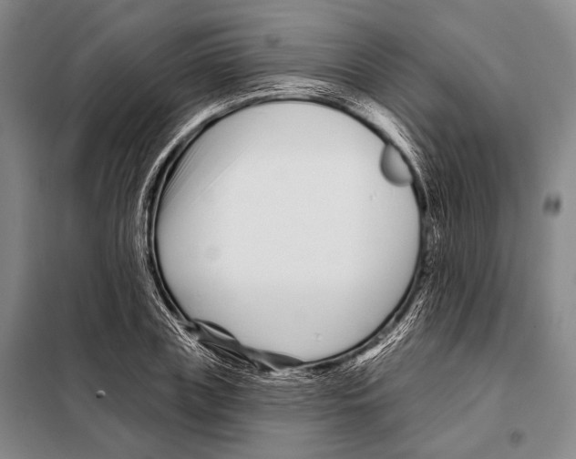X0000097970835200804211009
