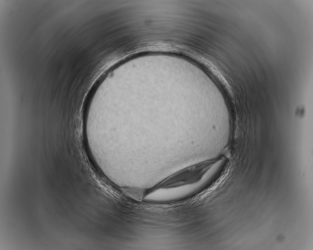 X0000097970837200804211009
