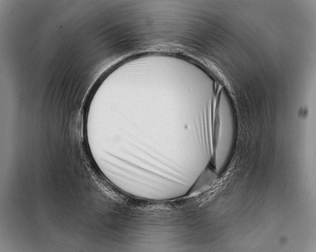 X0000097970838200804211009