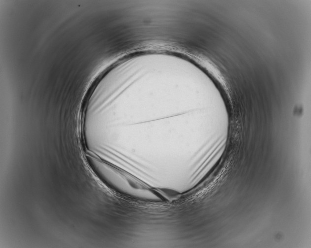 X0000097970839200804211009