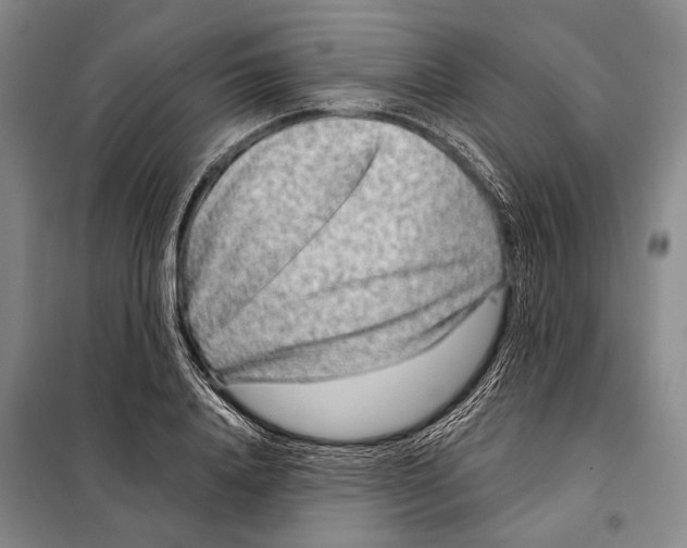 X0000097970840200804211009