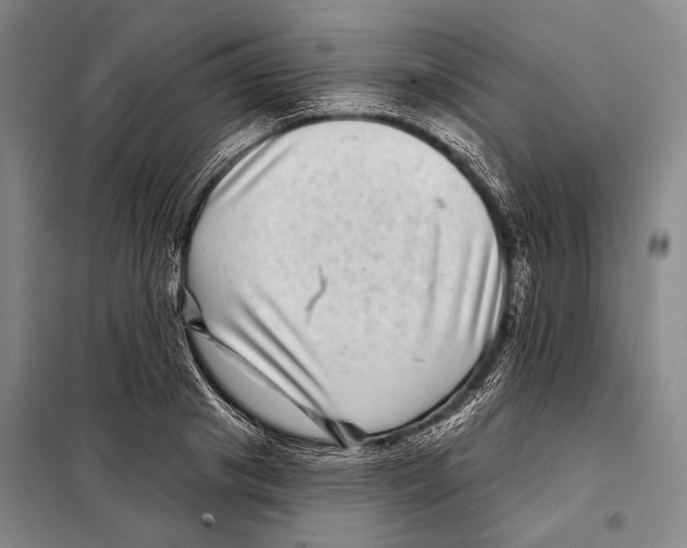X0000097970841200804211009