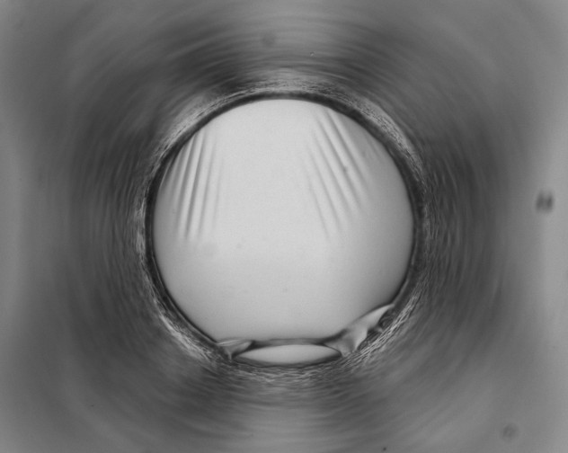 X0000097970842200804211009