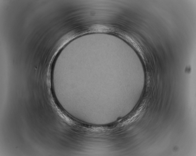 X0000097970843200804211009