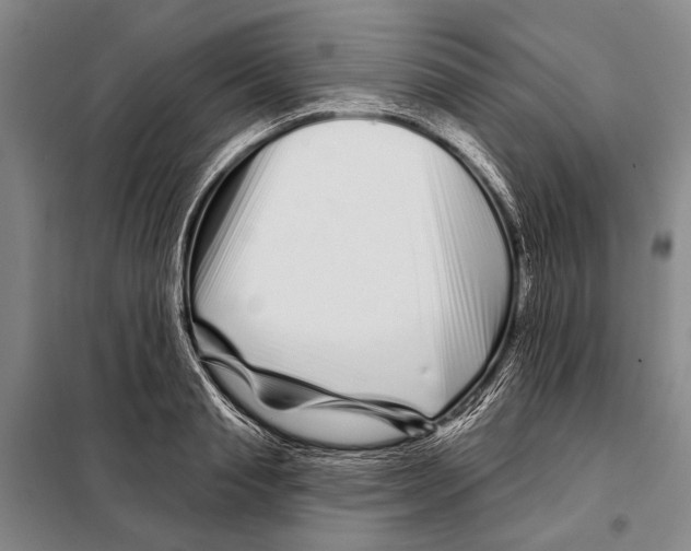 X0000097970845200804211009