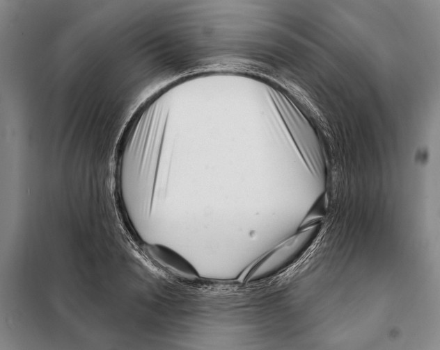 X0000097970846200804211009