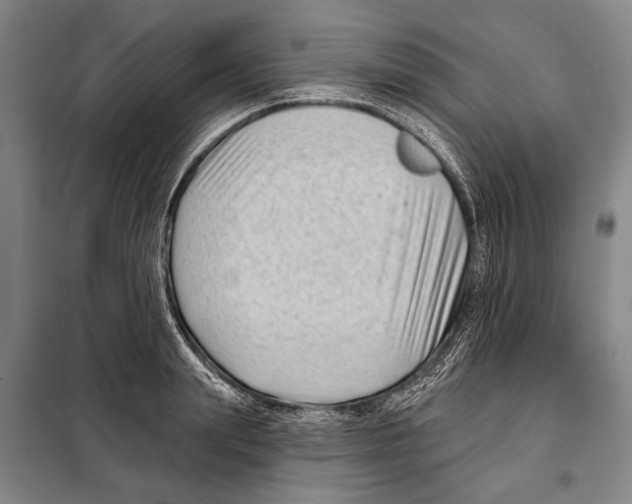 X0000097970847200804211009