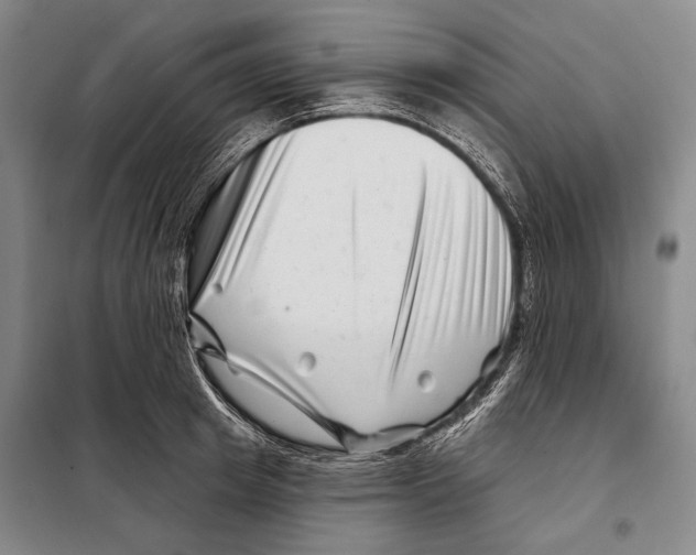 X0000097970849200804211009