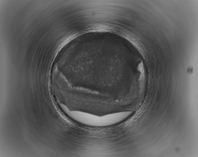 X0000097970850200804211009