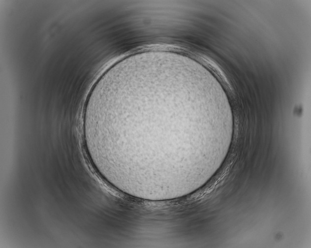 X0000097970852200804211009