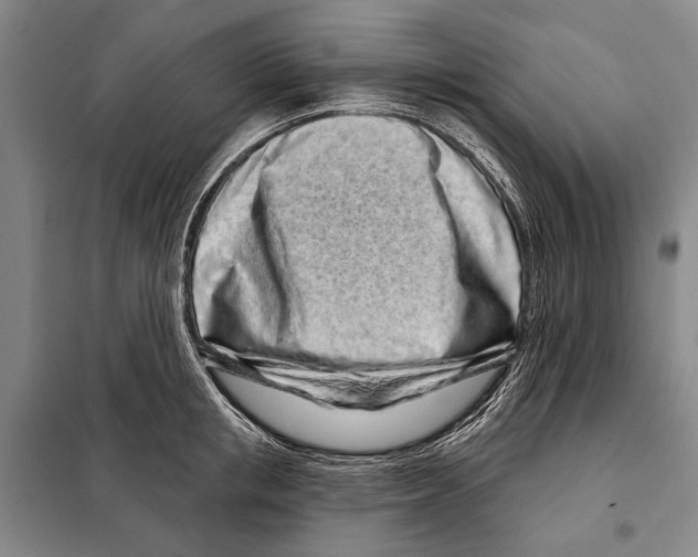 X0000097970853200804211009