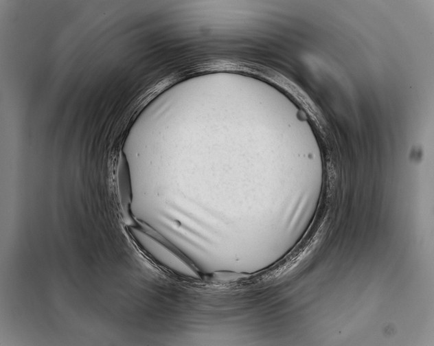 X0000097970857200804211010