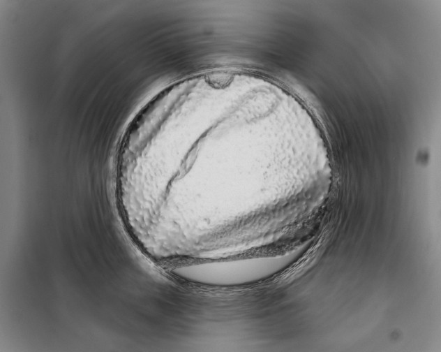 X0000097970859200804211010