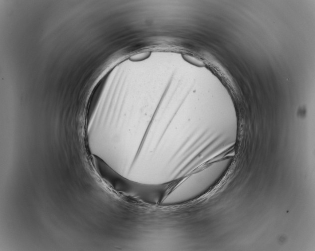 X0000097970860200804211010