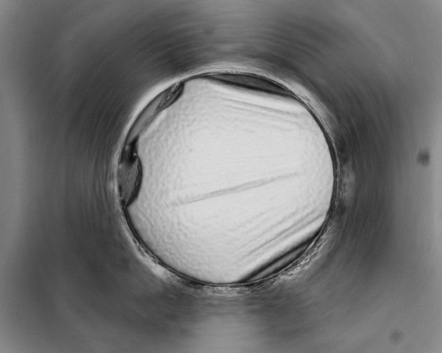 X0000097970862200804211010