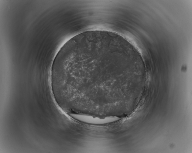 X0000097970863200804211010