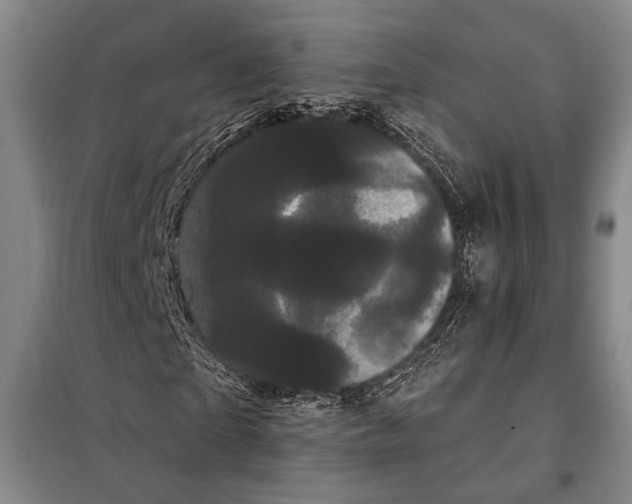 X0000097970865200804211009