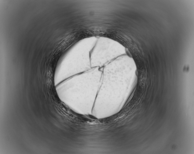 X0000097970866200804211009