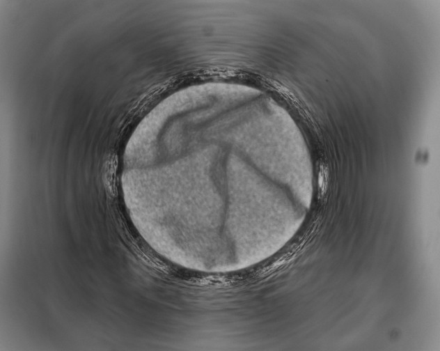 X0000097970867200804211009