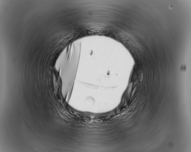 X0000097970868200804211009